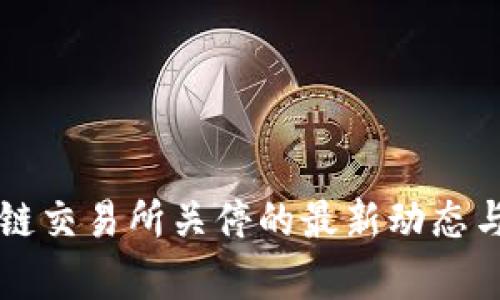 国内区块链交易所关停的最新动态与影响分析