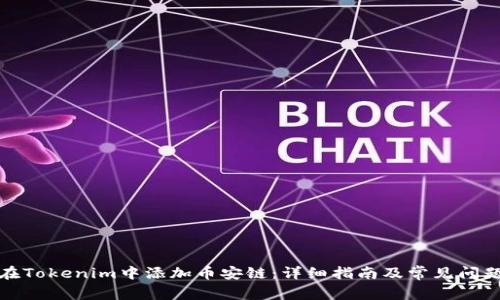 如何在Tokenim中添加币安链：详细指南及常见问题解答