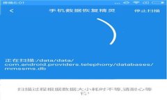 Title: 如何进行Tokenim风险评测：全面指南与策略